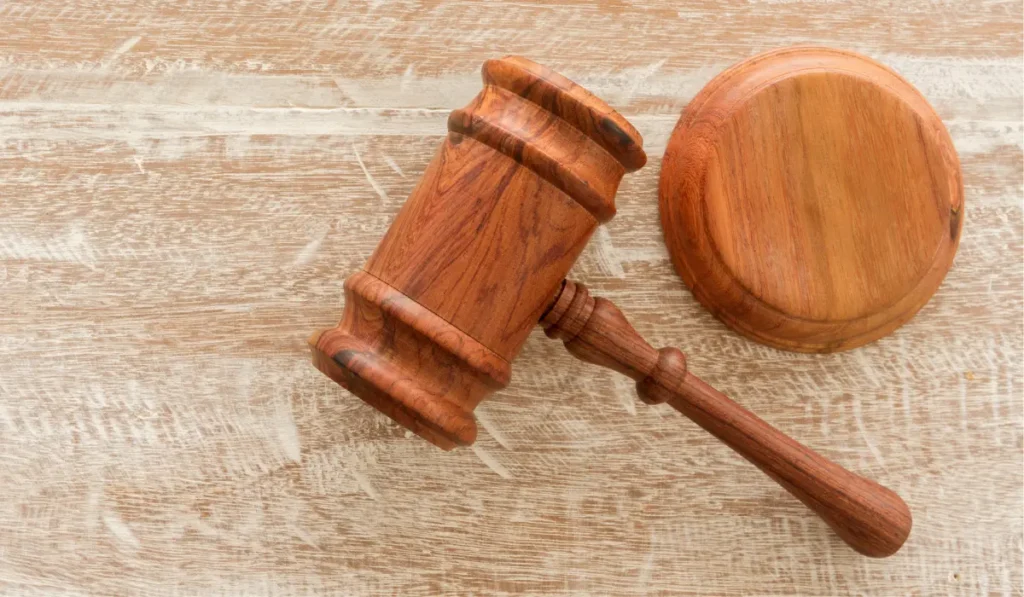 Auction Gavel on Wooden Background